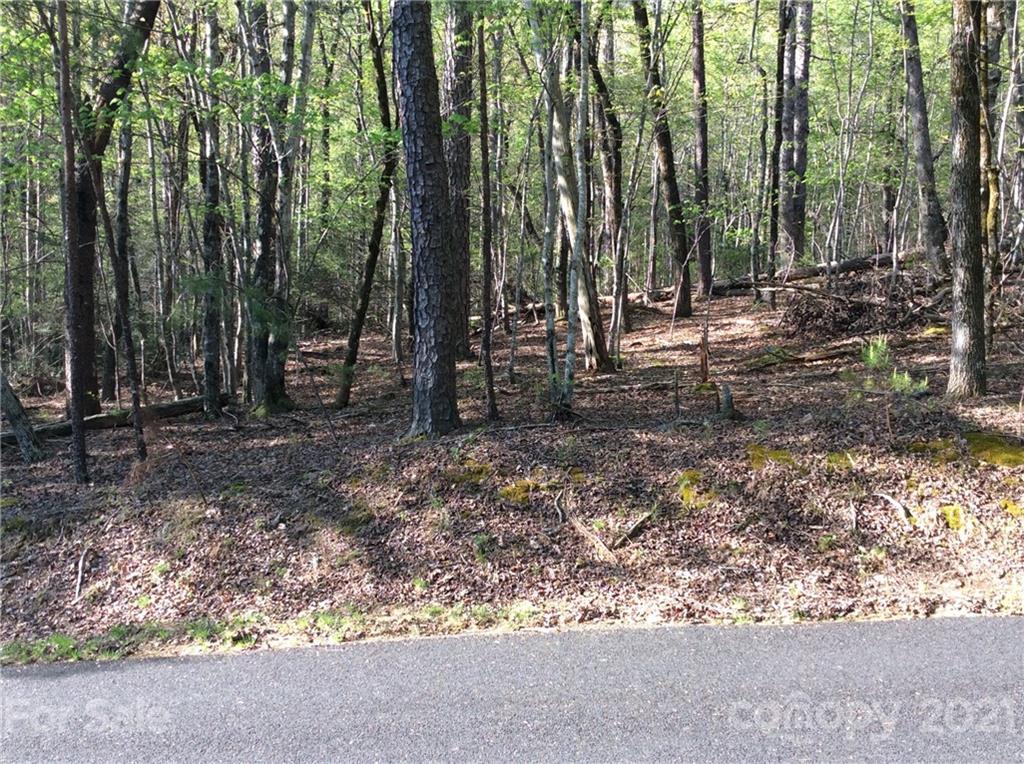 0 Quail Ridge Road, Unit 239 Lake Lure, NC 28746 - Photo 2 of 17 Gallery Image 2