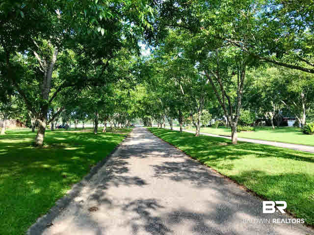 0 Cape Fear Boulevard Foley, AL 36535 - Photo 4 of 15 Beautiful Street lined with large pecan trees
