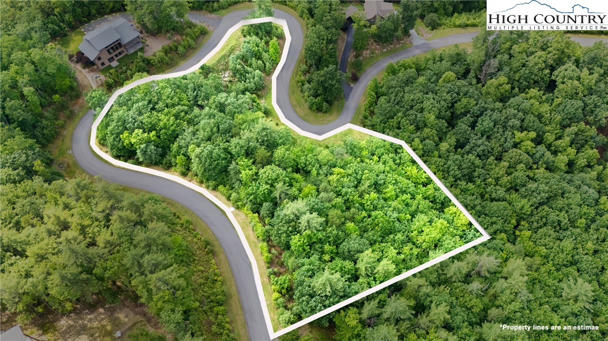 Lot 330 Pepperroot Road Boone, NC 28607 - Photo 3 of 16 an aerial view of a garden