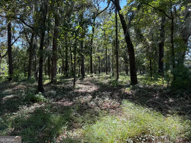 a view of outdoor space and green space