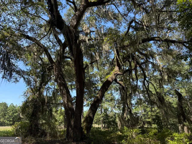 a view of a lake with trees