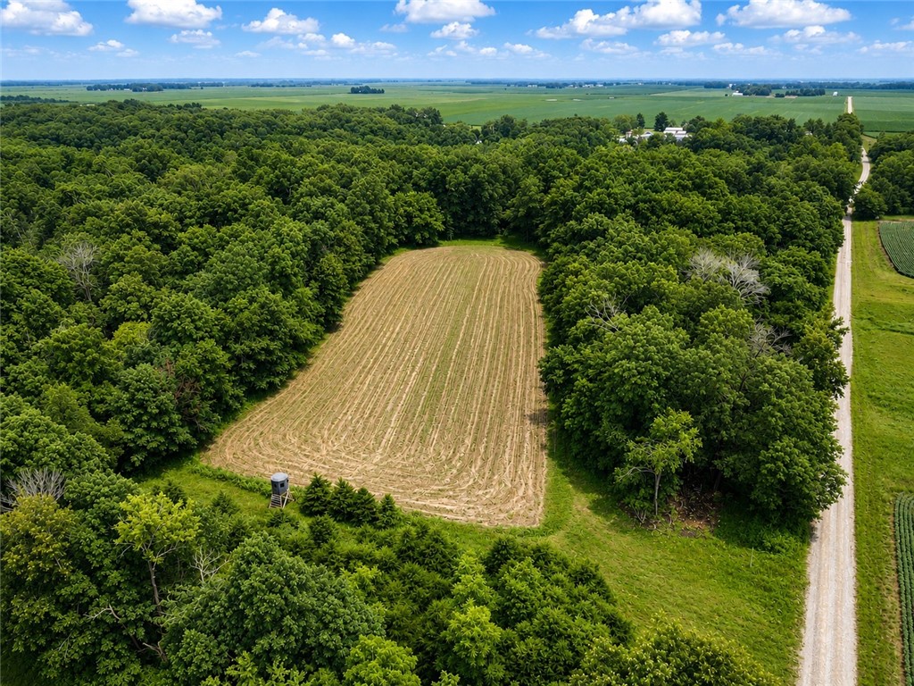 1270 East County Road Lerna, IL 62440 - Photo 3 of 4