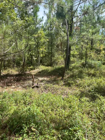 $169,900 | 10 Payne Pond Road, Unit PPF 10, Kershaw, SC 29067