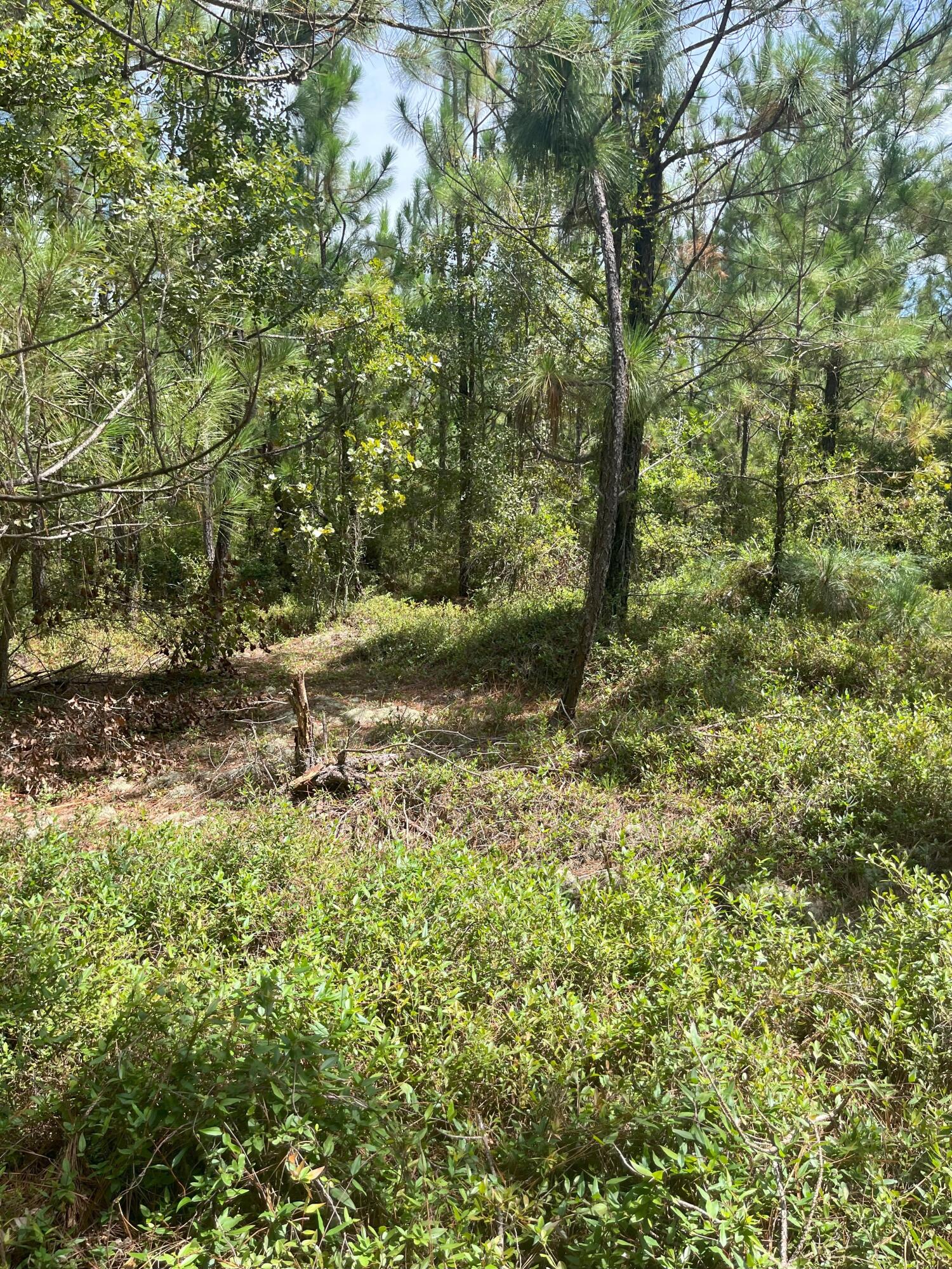 10 Payne Pond Road, Unit PPF 10 Kershaw, SC 29067 - Photo 11 of 13 IMG_7245