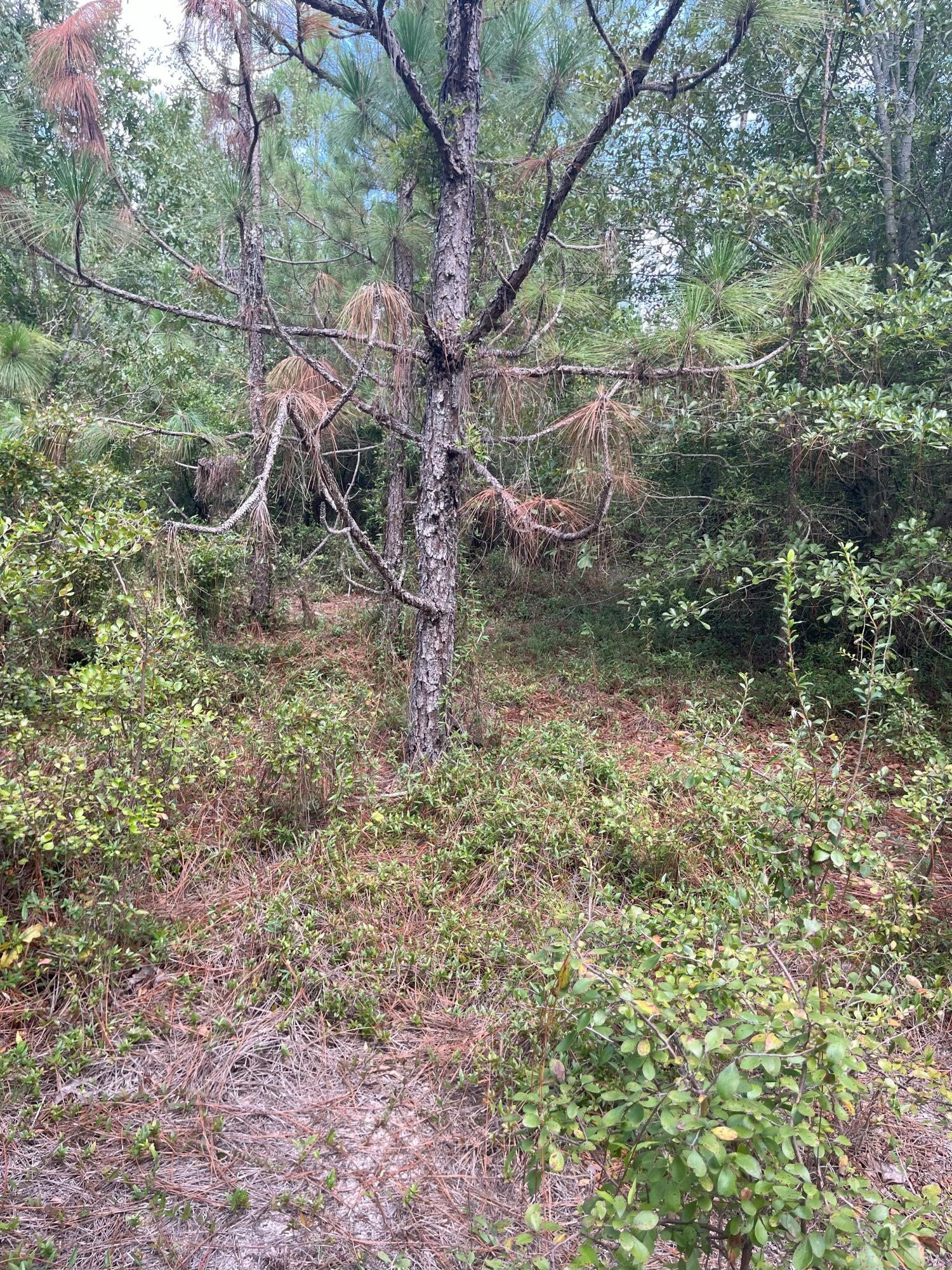 10 Payne Pond Road, Unit PPF 10 Kershaw, SC 29067 - Photo 13 of 13 IMG_7252