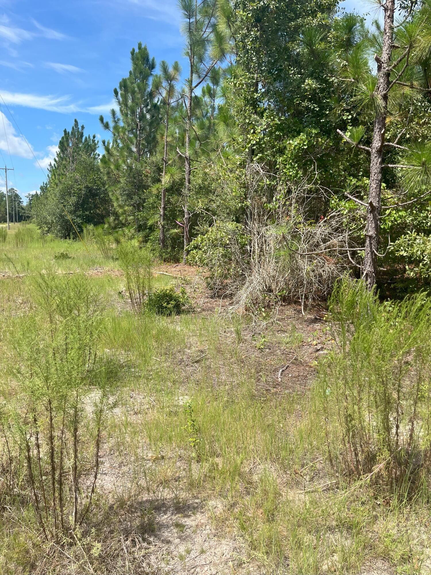 10 Payne Pond Road, Unit PPF 10 Kershaw, SC 29067 - Photo 2 of 13 IMG_7225