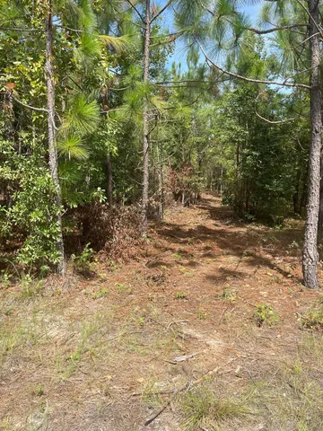 $169,900 | 10 Payne Pond Road, Unit PPF 10, Kershaw, SC 29067