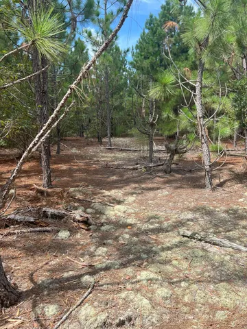 $169,900 | 10 Payne Pond Road, Unit PPF 10, Kershaw, SC 29067