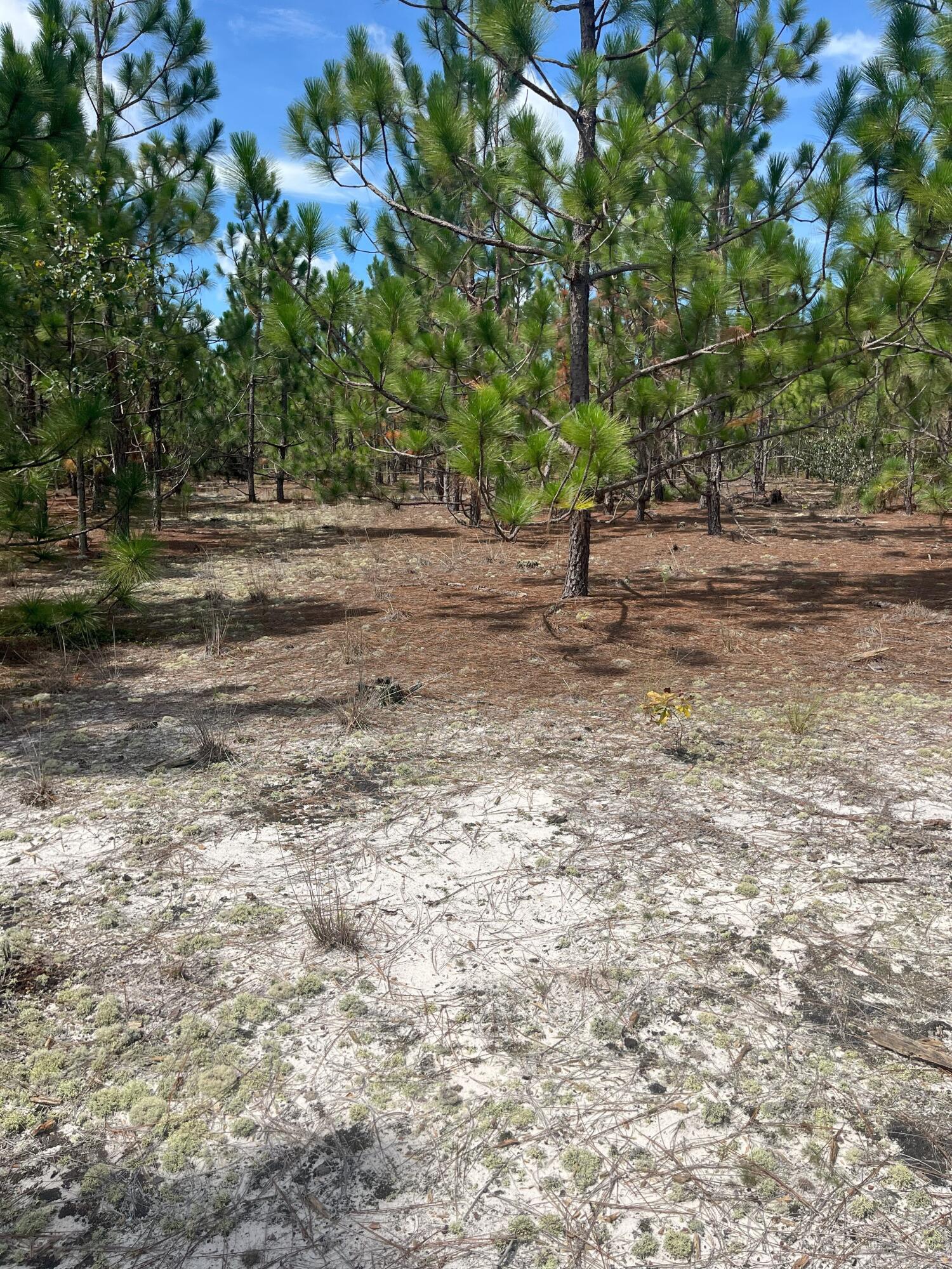 10 Payne Pond Road, Unit PPF 10 Kershaw, SC 29067 - Photo 7 of 13 IMG_7235