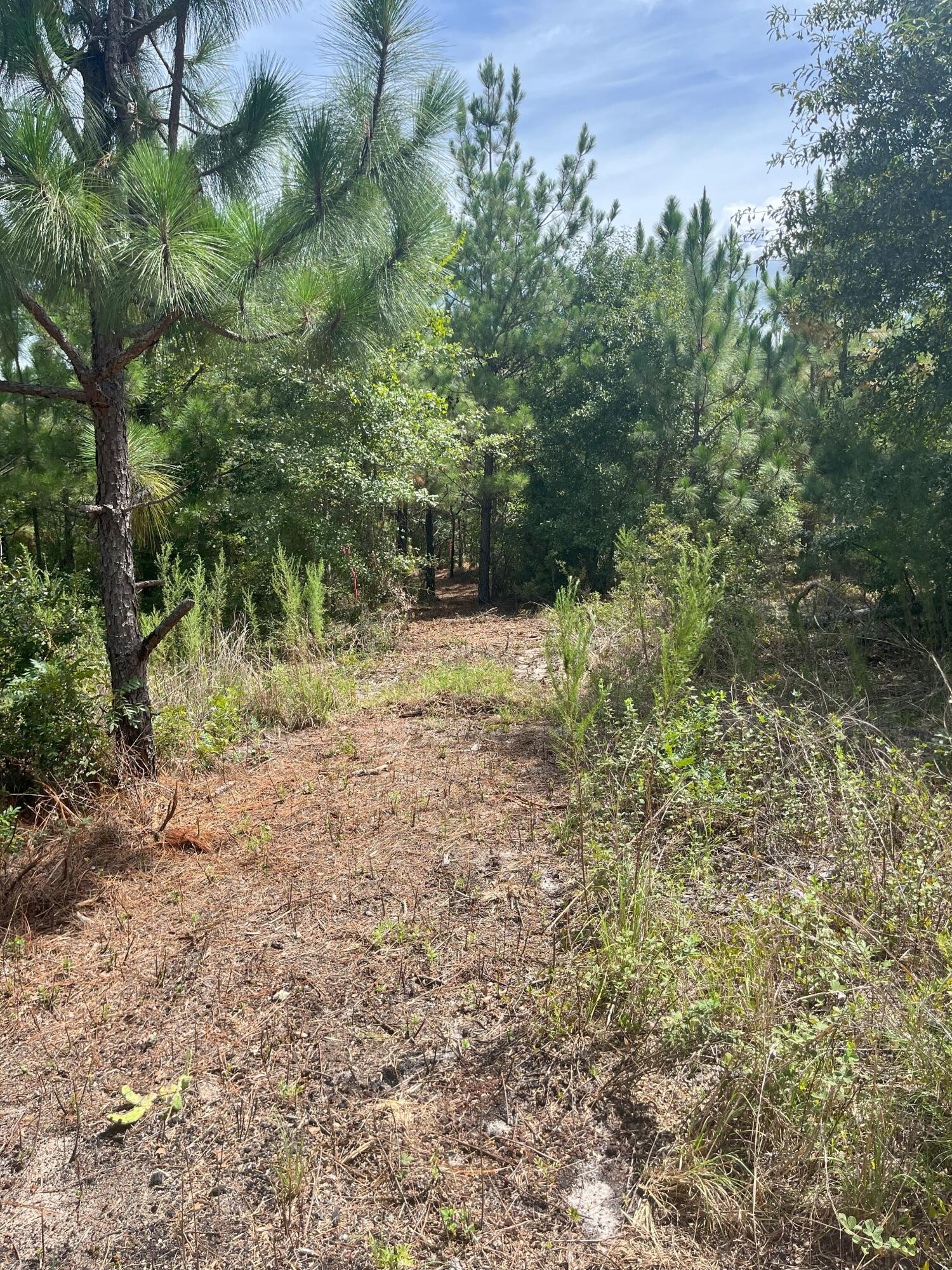 10 Payne Pond Road, Unit PPF 10 Kershaw, SC 29067 - Photo 10 of 13 IMG_7241