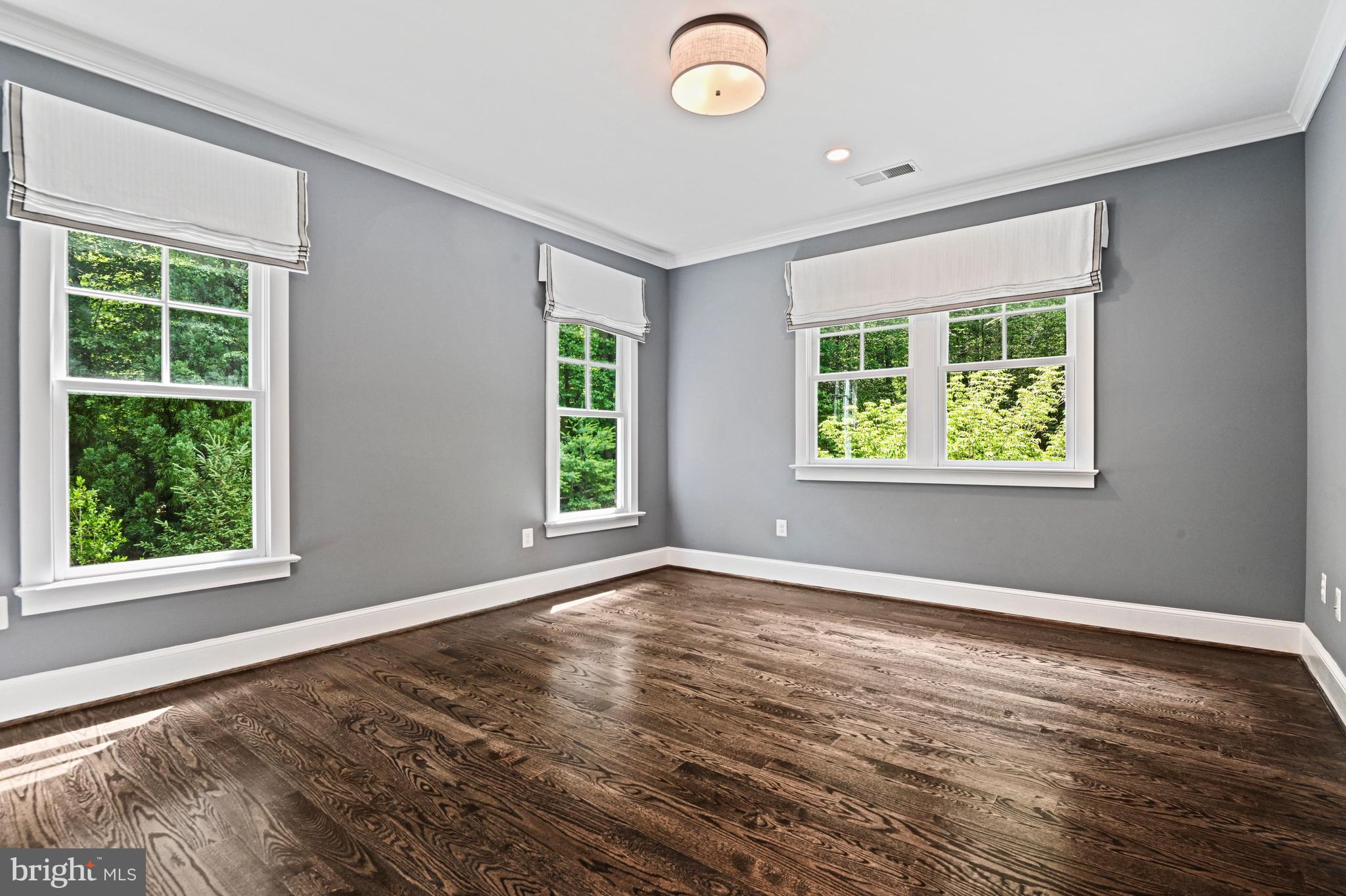 248 Springvale Road Great Falls, VA 22066 - Photo 38 of 77
