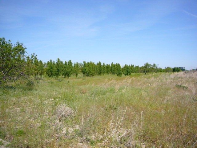 Milton-freewater Edwards Road Milton Freewater, OR 97862 - Photo 1 of 1