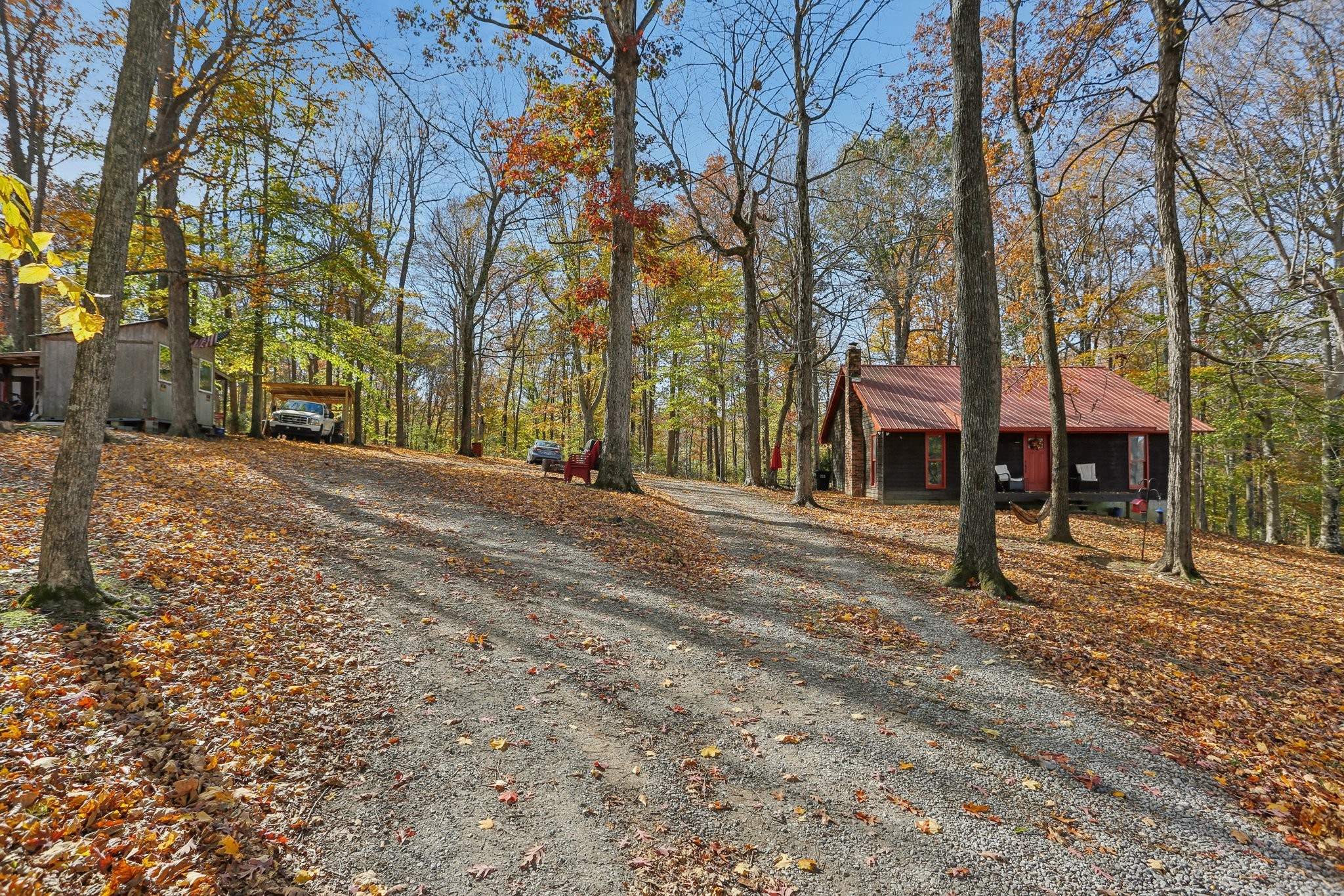 4515 C M Martin Road Springfield, TN 37172 - Photo 2 of 27 a row of palm trees in front of house