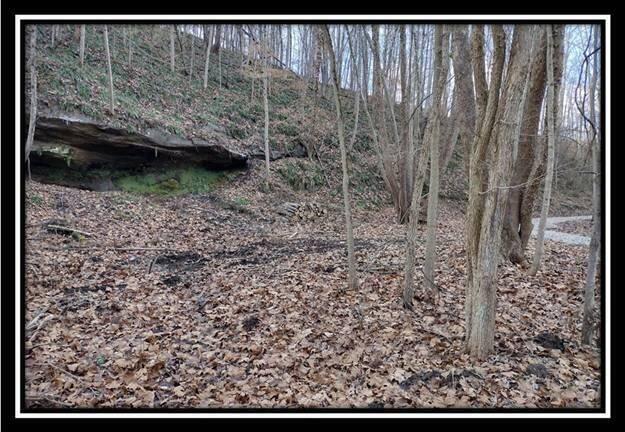 O Number Number 12 Hollow Road Wellston, OH 45692 - Photo 6 of 8 Land 6