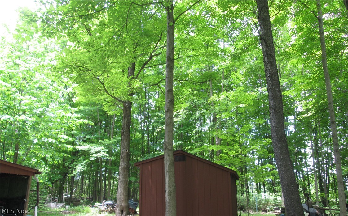4044 Beck Road Medina, OH 44256 - Photo 2 of 35 2nd Shed