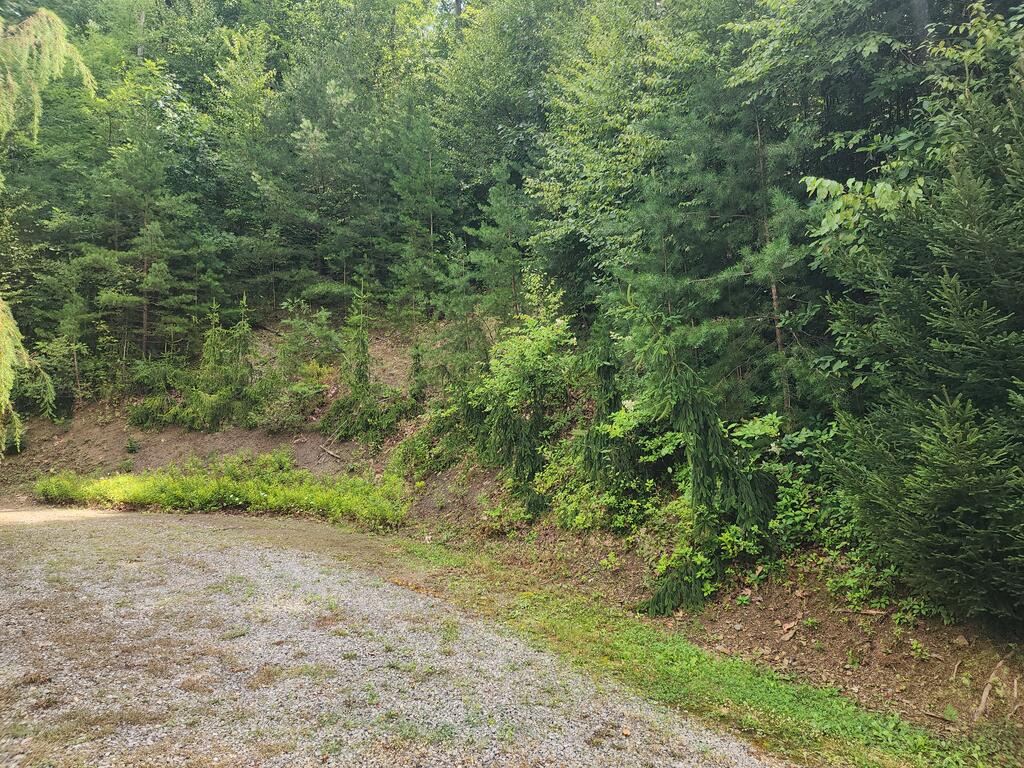 14829 Backbone Road James Creek, PA 16657 - Photo 31 of 33 Gallery Image 31