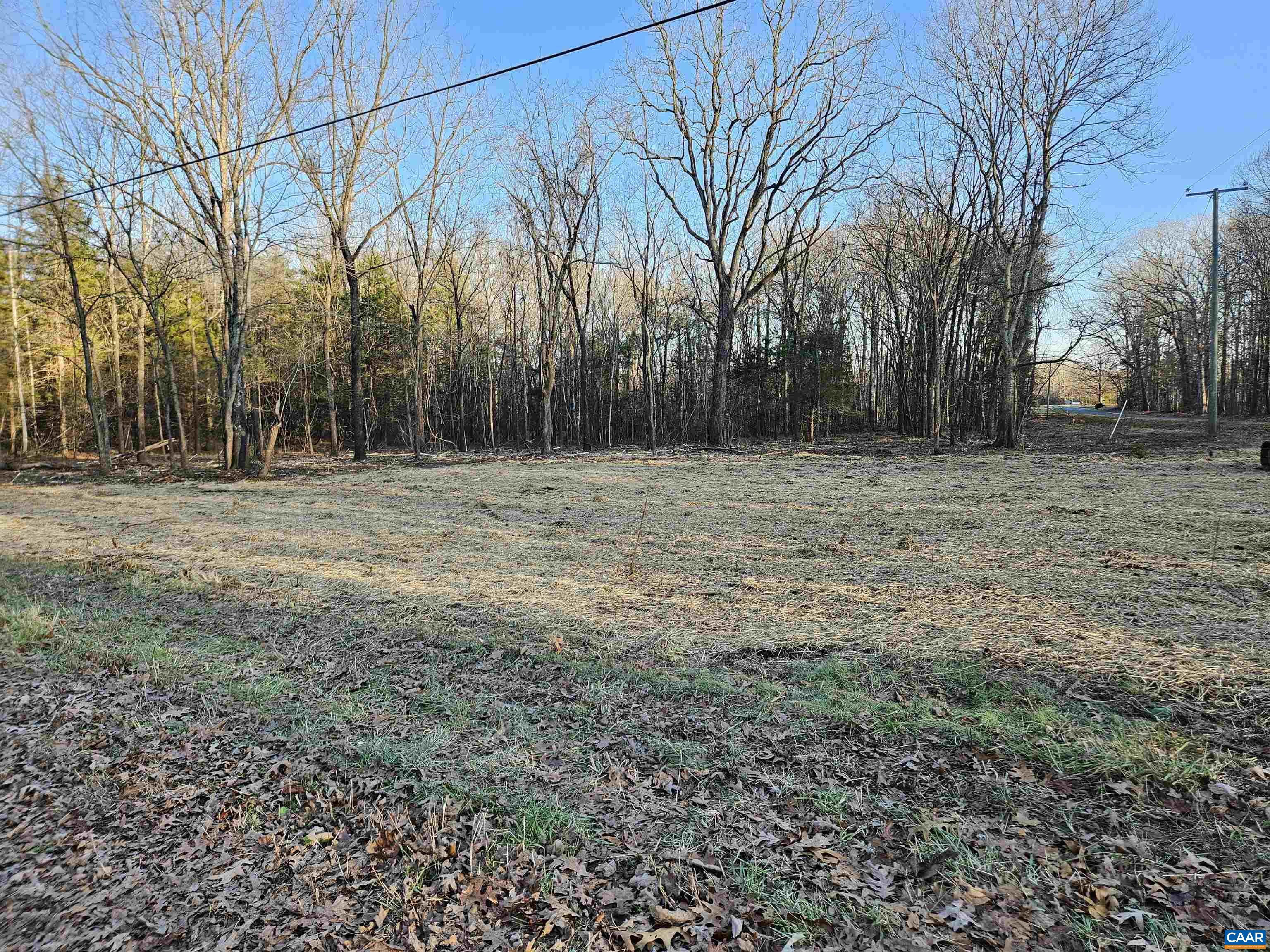 1.441-ac Physic Spring Road Dillwyn, VA 23936 - Photo 7 of 12 Gallery Image 7