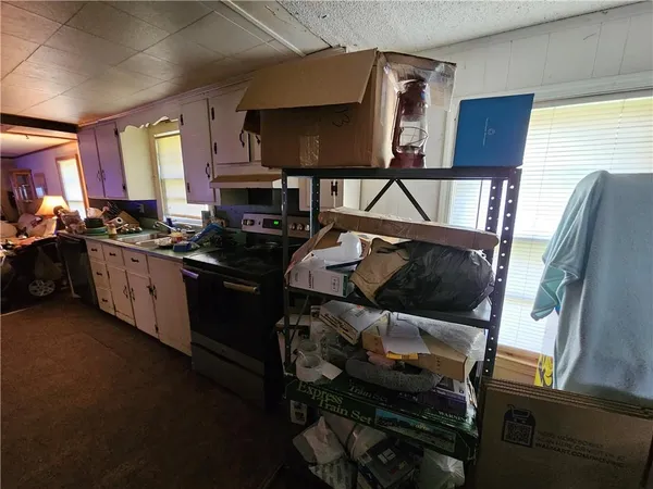 a view of a park with large trees