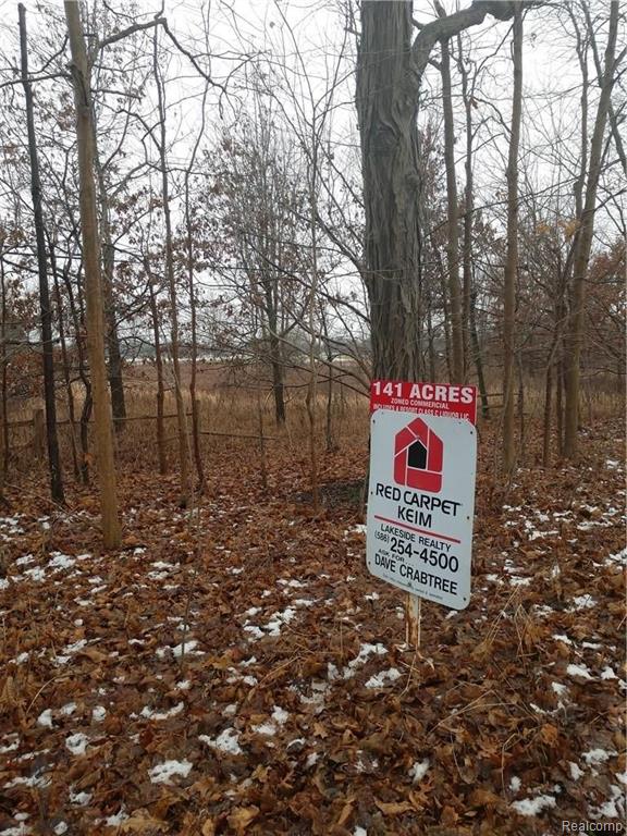 555 South Dancer Road Chelsea, MI 48118 - Photo 12 of 21