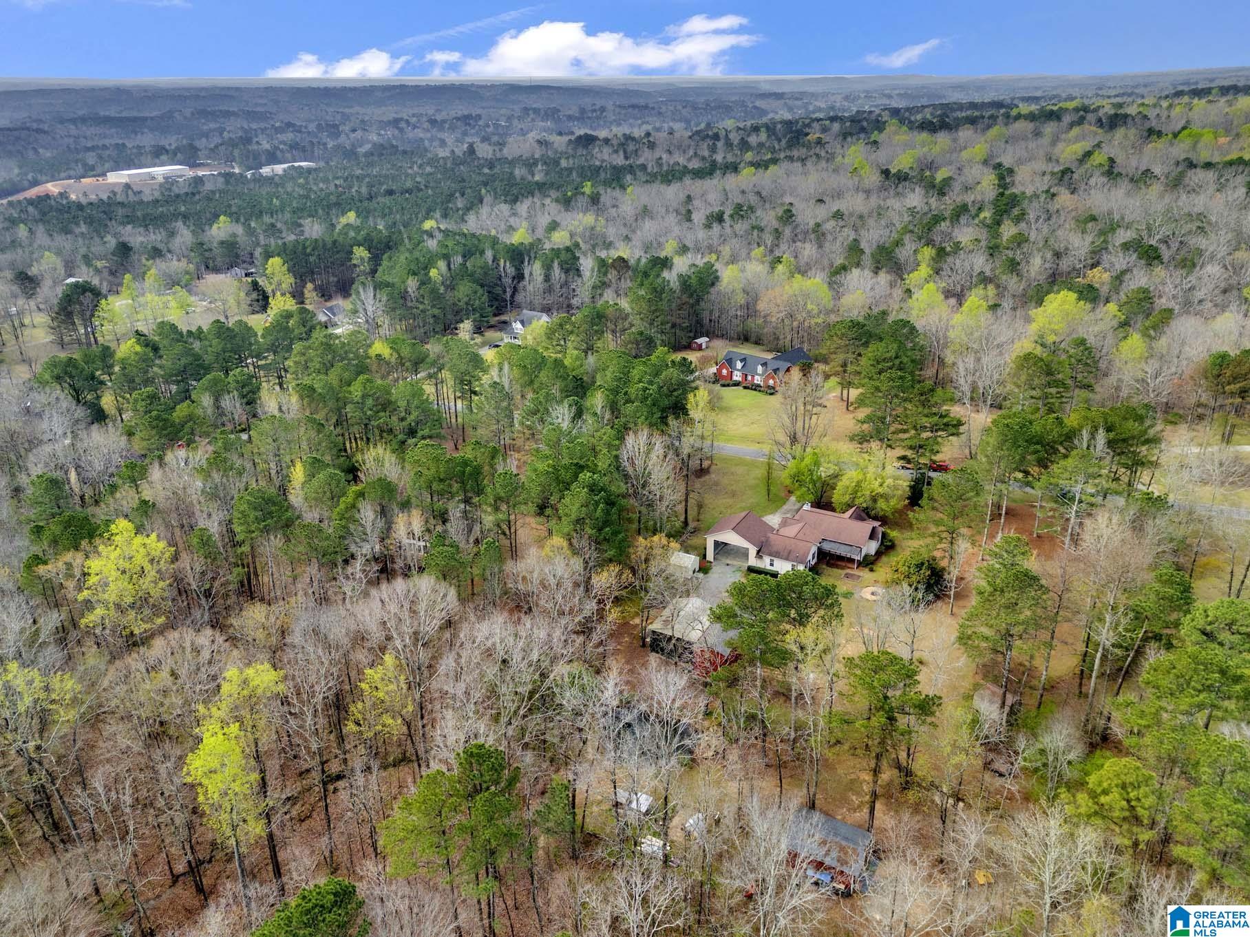 510 Myrick Road Warrior, AL 35180 - Photo 58 of 61