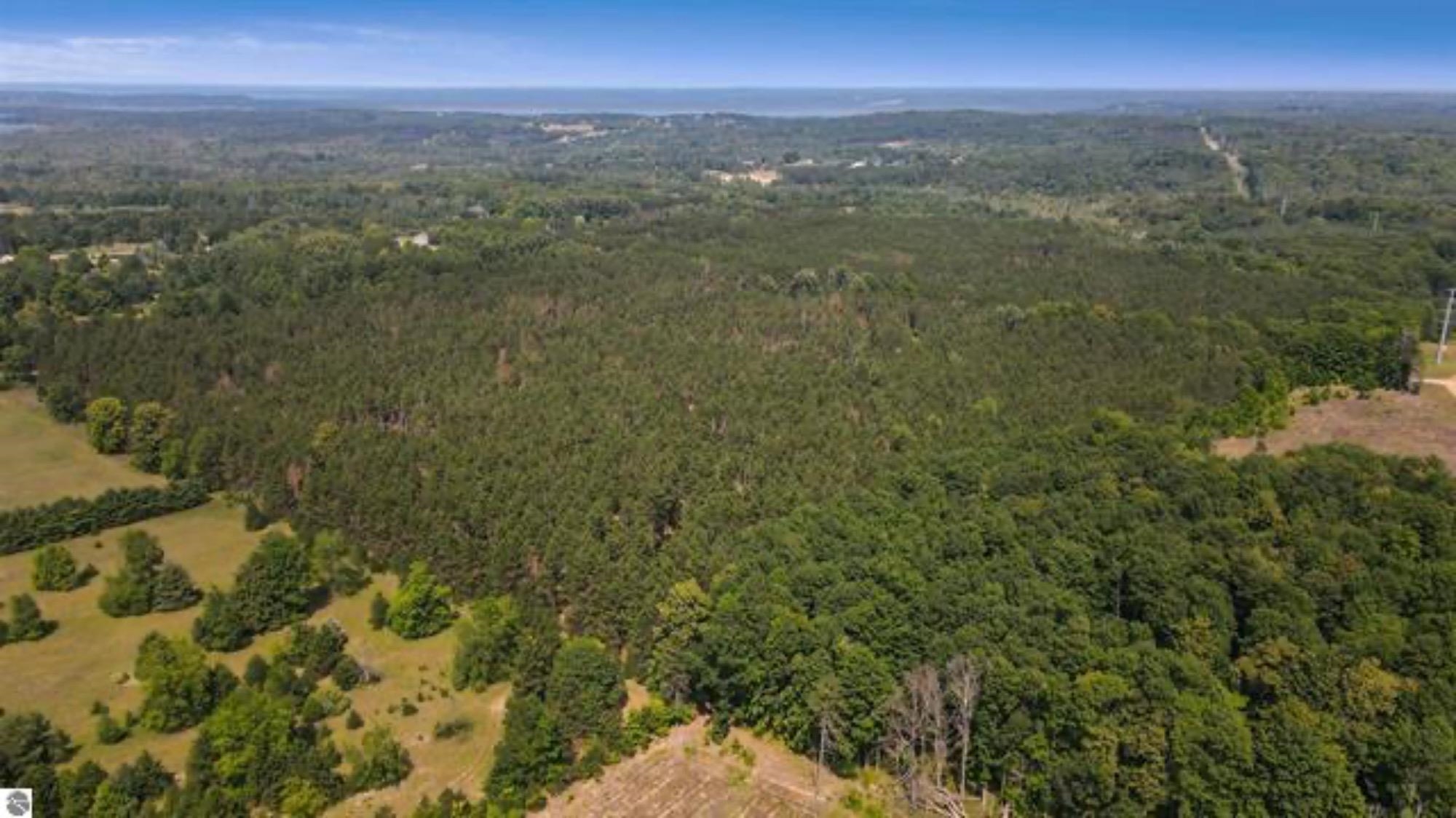 5193 Samels Road Williamsburg, MI 49690 - Photo 14 of 34