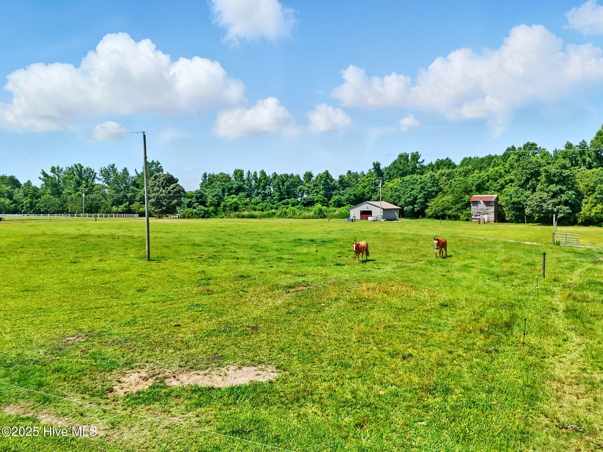 2620 Nahunta Road Pikeville, NC 27863 - Photo 30 of 33 32-web-or-mls-Photo_029