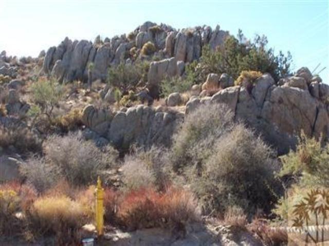 5786 San Rafael Road Yucca Valley, CA 92284 - Photo 3 of 3 a view of a lot of trees and bushes