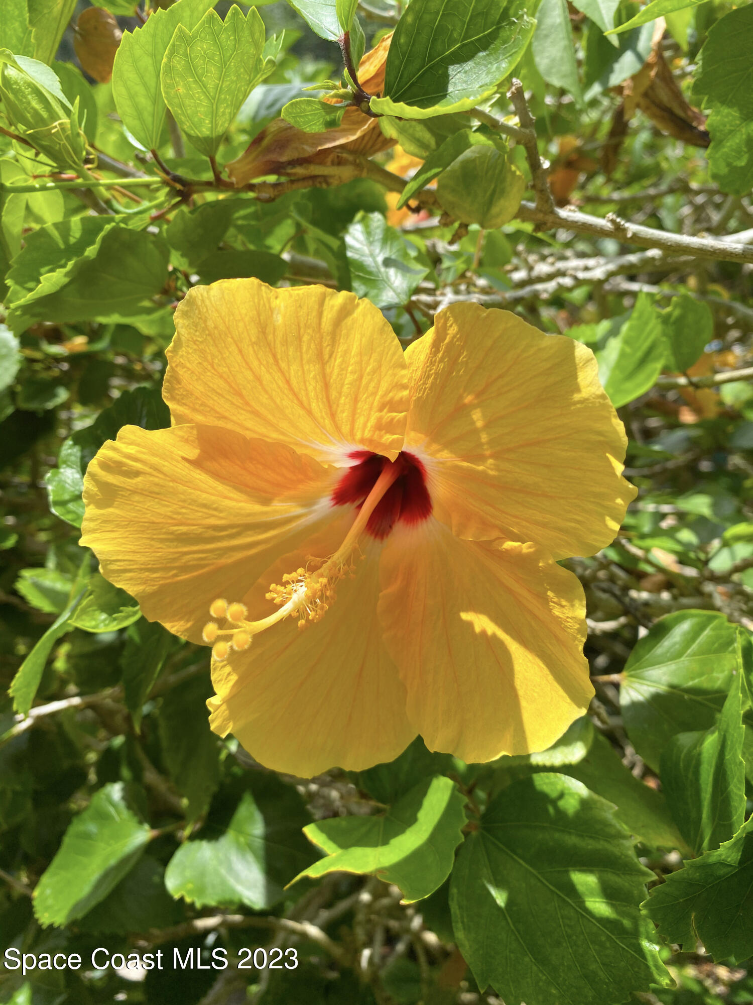 5080 Seiler Street Melbourne Beach, FL 32951 - Photo 30 of 34