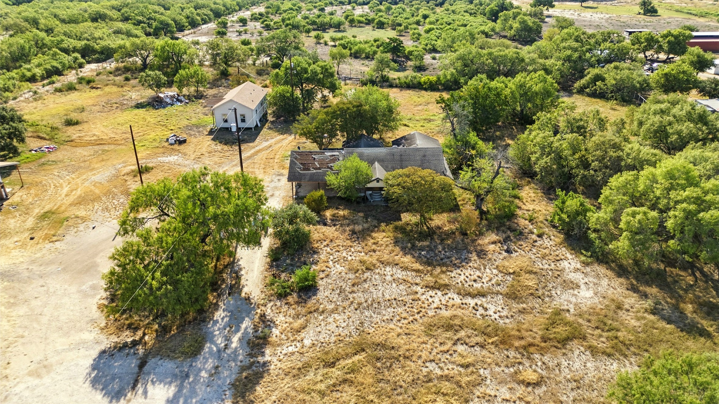 4672 Rakowitz Road Adkins, TX 78101 - Photo 30 of 38 a view of a yard with plants and large trees
