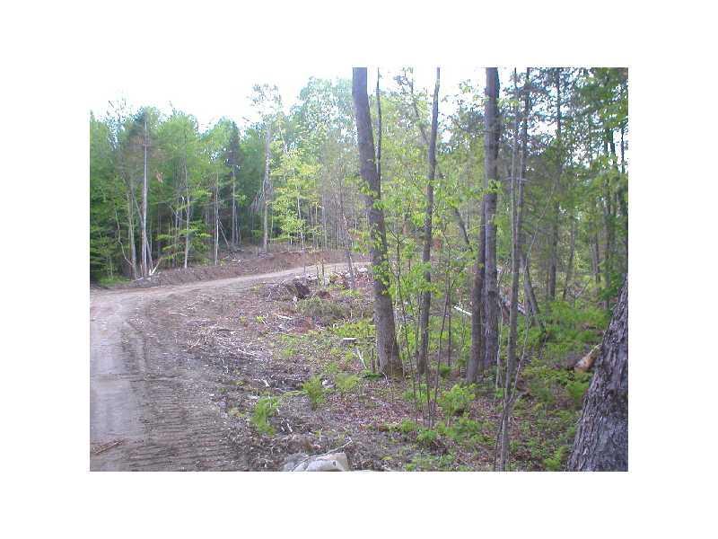 0 Shaw Hill Road Industry, ME 04938 - Photo 5 of 14 Land. Road to the lot. Johnson road...