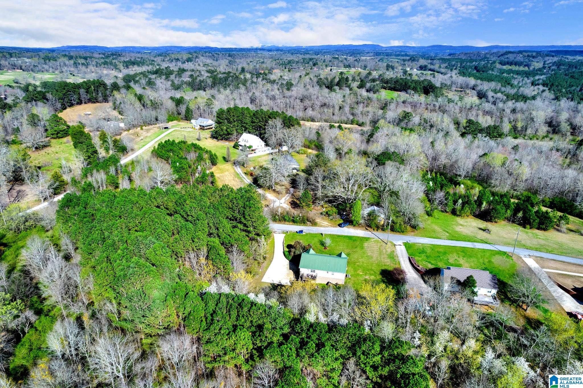208 Elbert Gallimore Road Hayden, AL 35079 - Photo 24 of 32