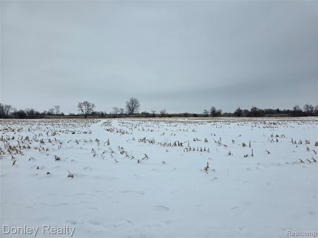 9999 Montgomery Road Marlette, MI 48453 - Photo 10 of 10 Gallery Image 10