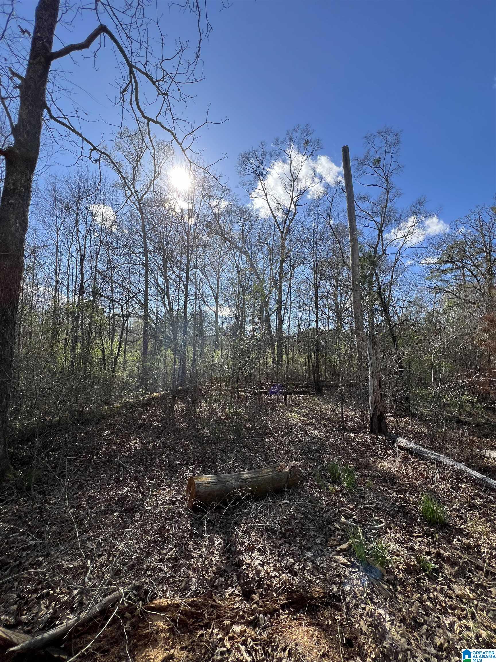 6371 Pocahontas Road, Unit 1 Bessemer, AL 35022 - Photo 3 of 6