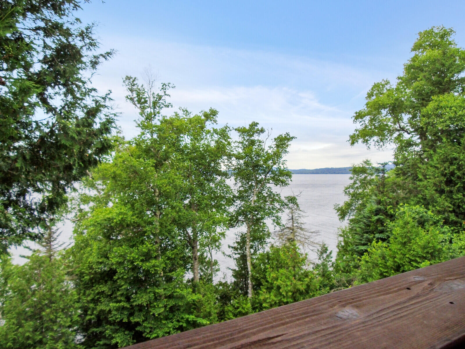 1972 Main Street Rangeley, ME 04970 - Photo 45 of 56 Summer View from Deck