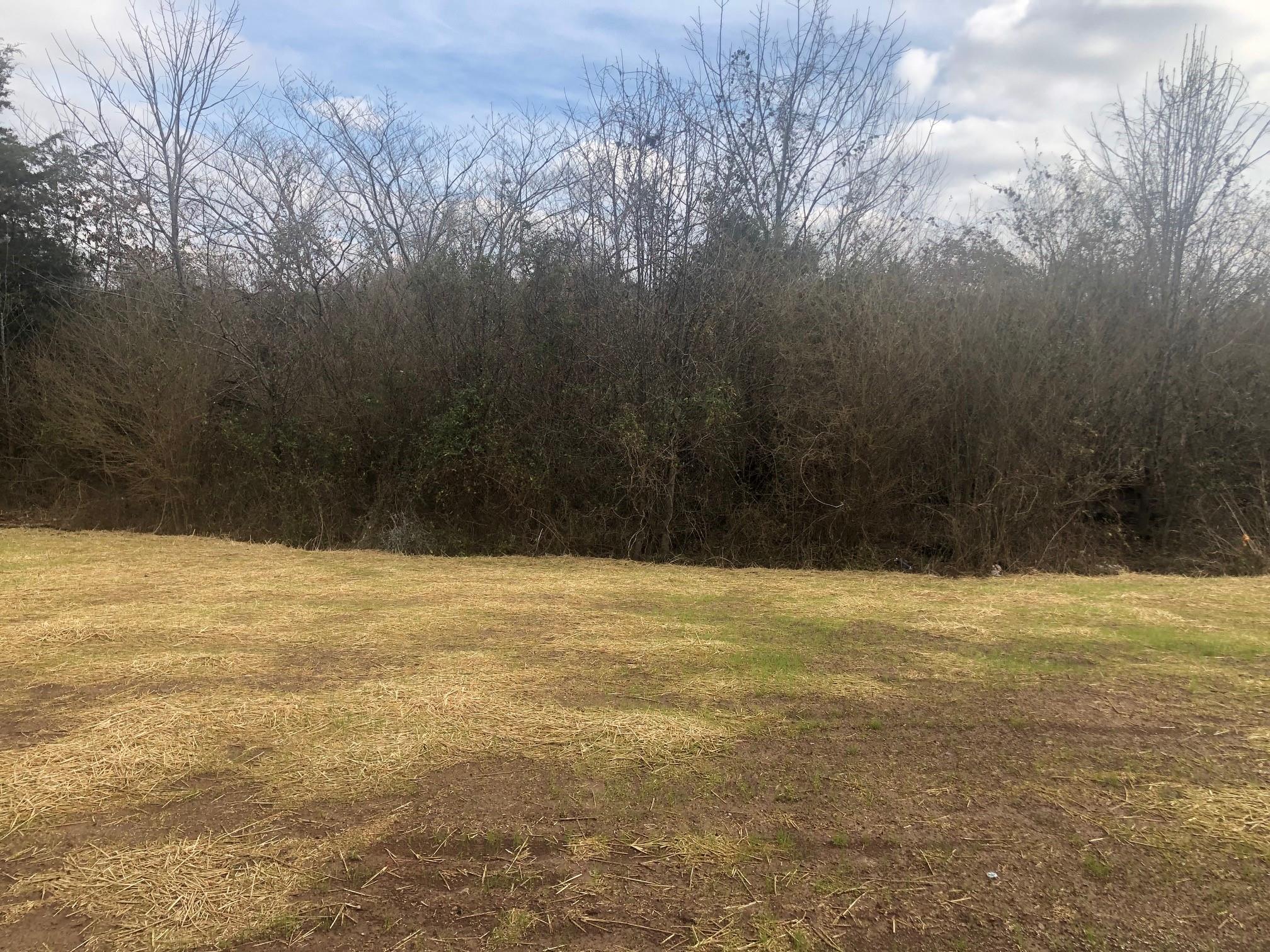 3134 Rift Lane Murfreesboro, TN 37130 - Photo 3 of 25 Tree line homesite!