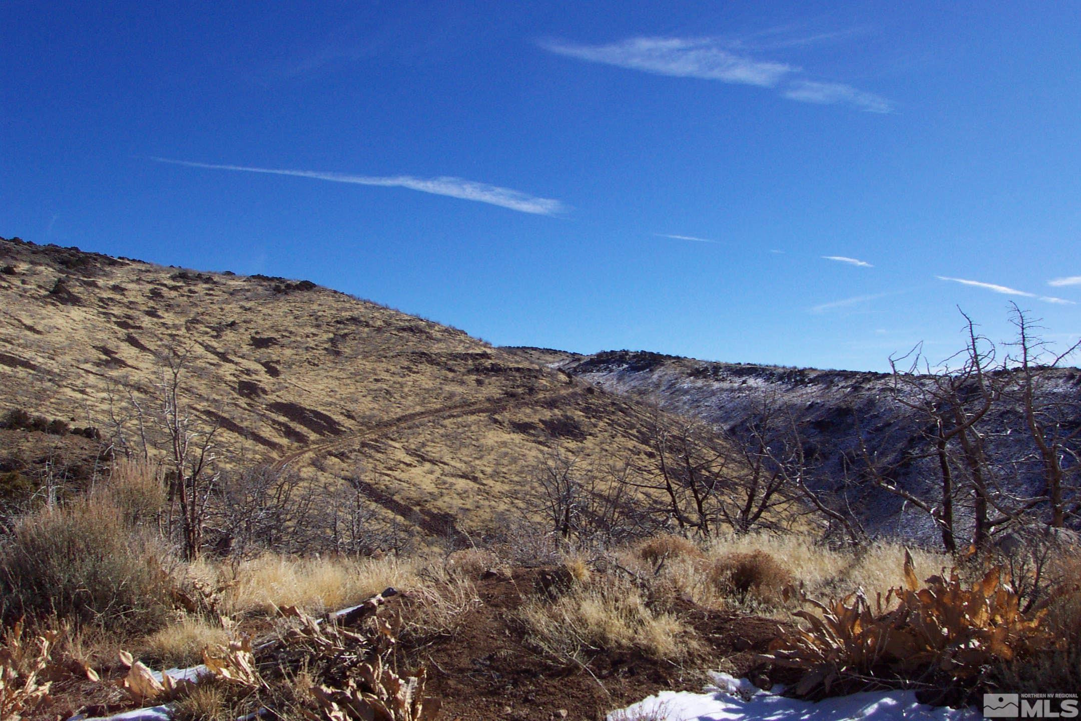 3655 Piute Creek Road Reno, NV 89510 - Photo 4 of 6 a view of a dry area with mountains in the background