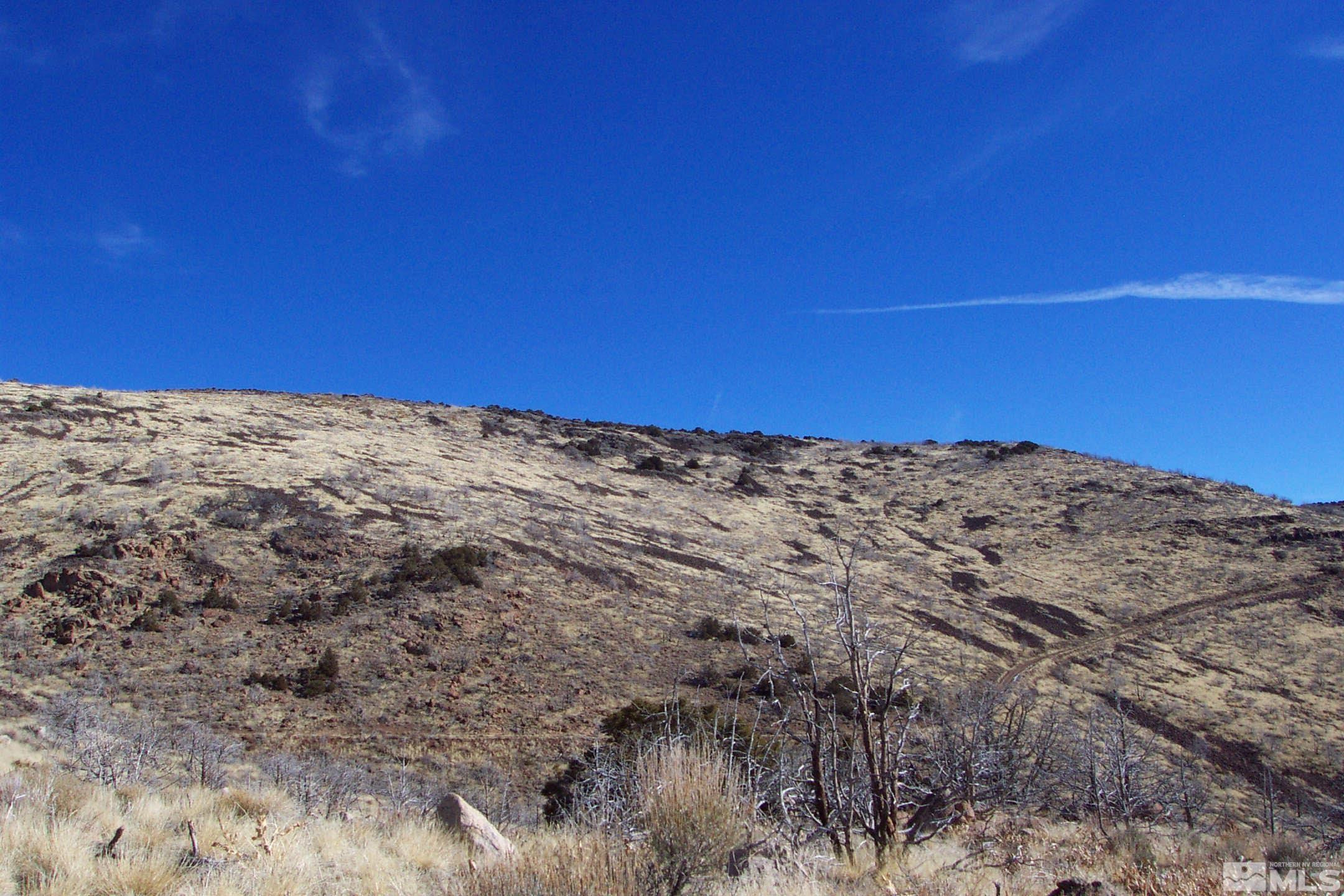 3655 Piute Creek Road Reno, NV 89510 - Photo 5 of 6