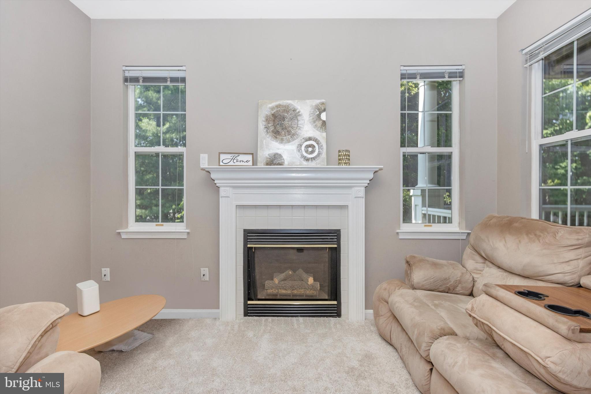 12700 Found Stone Road, Unit 203 Germantown, MD 20876 - Photo 5 of 31 Gas Fireplace