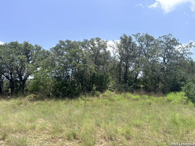 359 River Cliff Place Spring Branch, TX 78070 - Photo 10 of 14