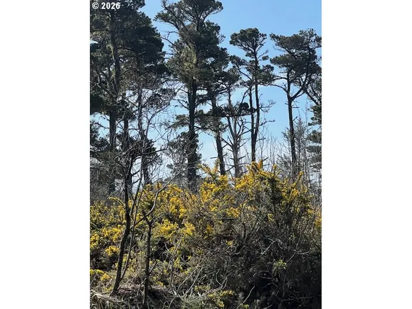 $179,500 | 0 18th Street Southwest, Bandon, OR 97411