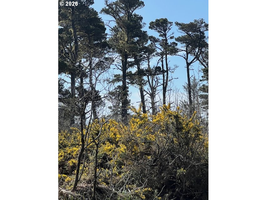 0 18th Street Southwest Bandon, OR 97411 - Photo 1 of 6