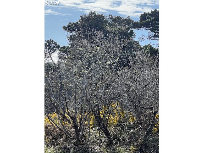 0 18th Street Southwest Bandon, OR 97411 - Photo 2 of 6