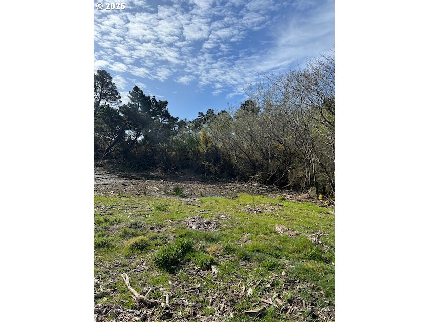 0 18th Street Southwest Bandon, OR 97411 - Photo 3 of 6