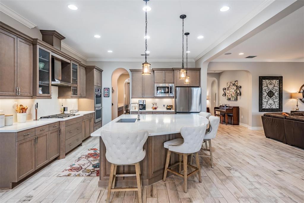 28700 Corbara Place Wesley Chapel, FL 33543 - Photo 14 of 61