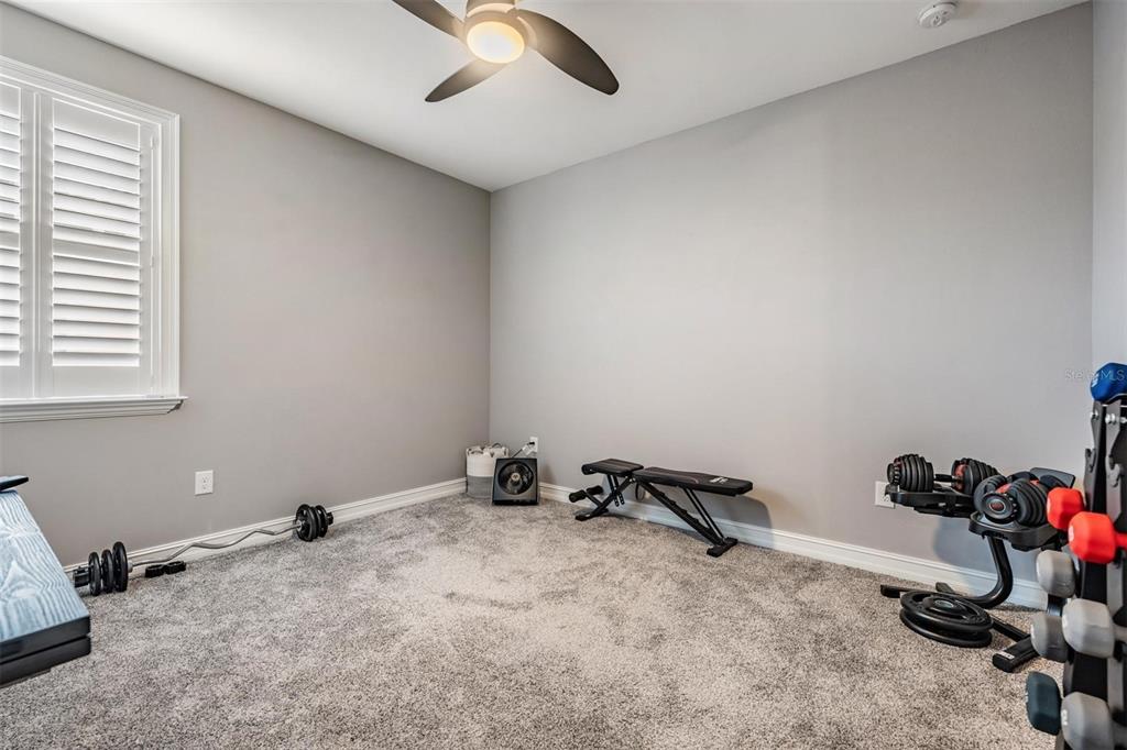 28700 Corbara Place Wesley Chapel, FL 33543 - Photo 40 of 61