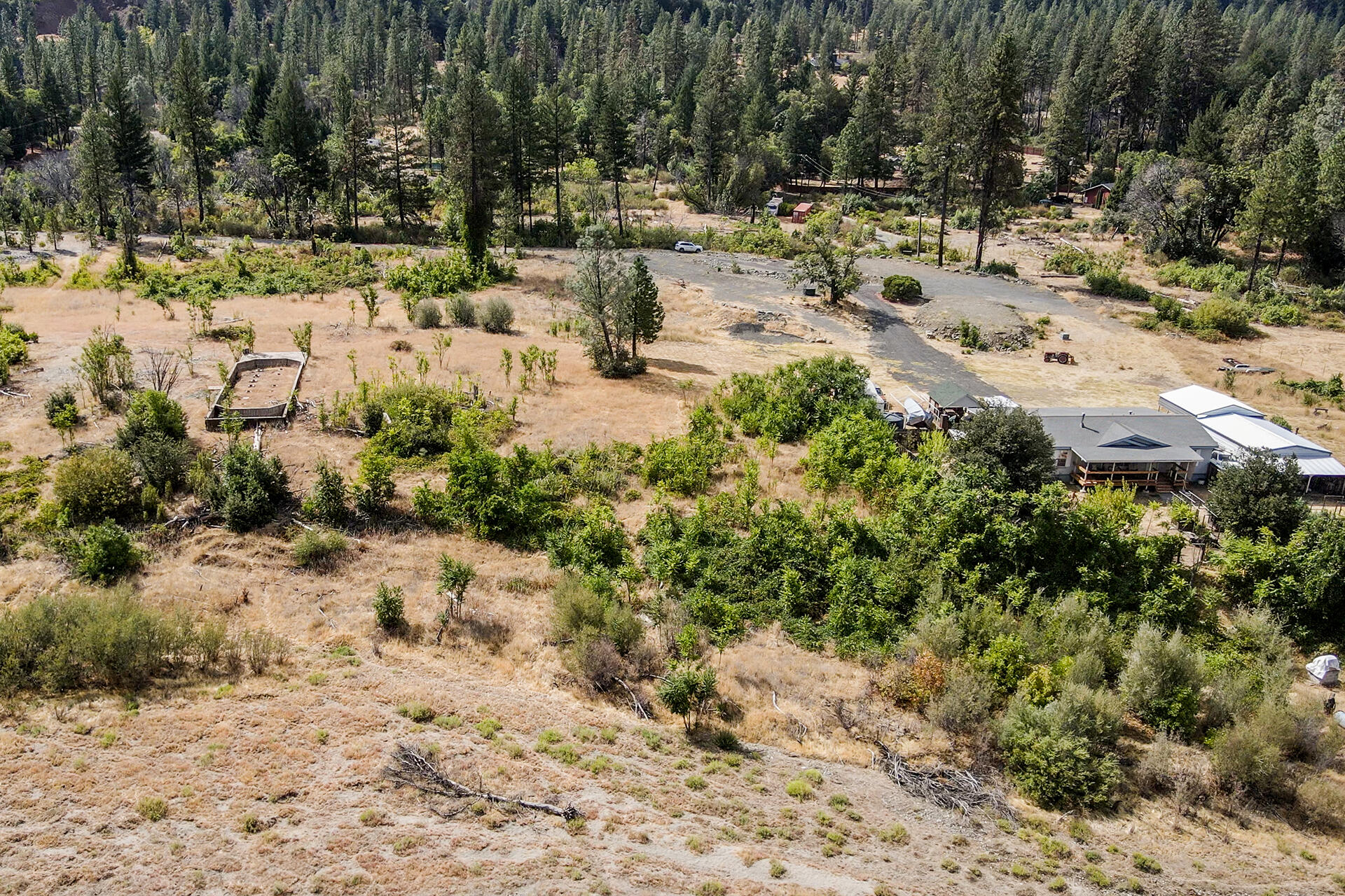 303 Bear Springs Road Junction City, CA 96048 - Photo 16 of 32 0016