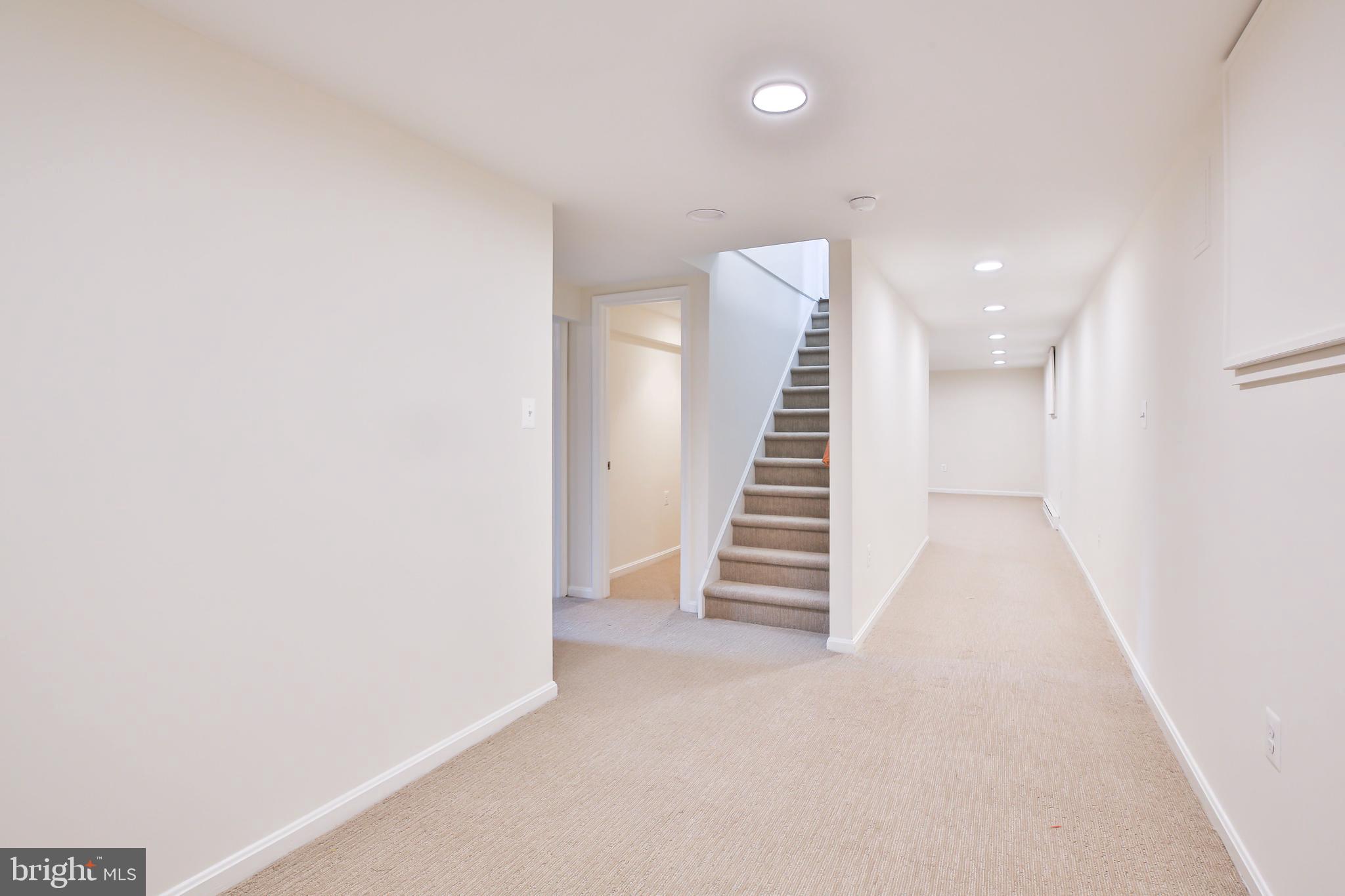 1356 Pierce Road Berryville, VA 22611 - Photo 23 of 45 Fantastic lower level with exclusive carpet