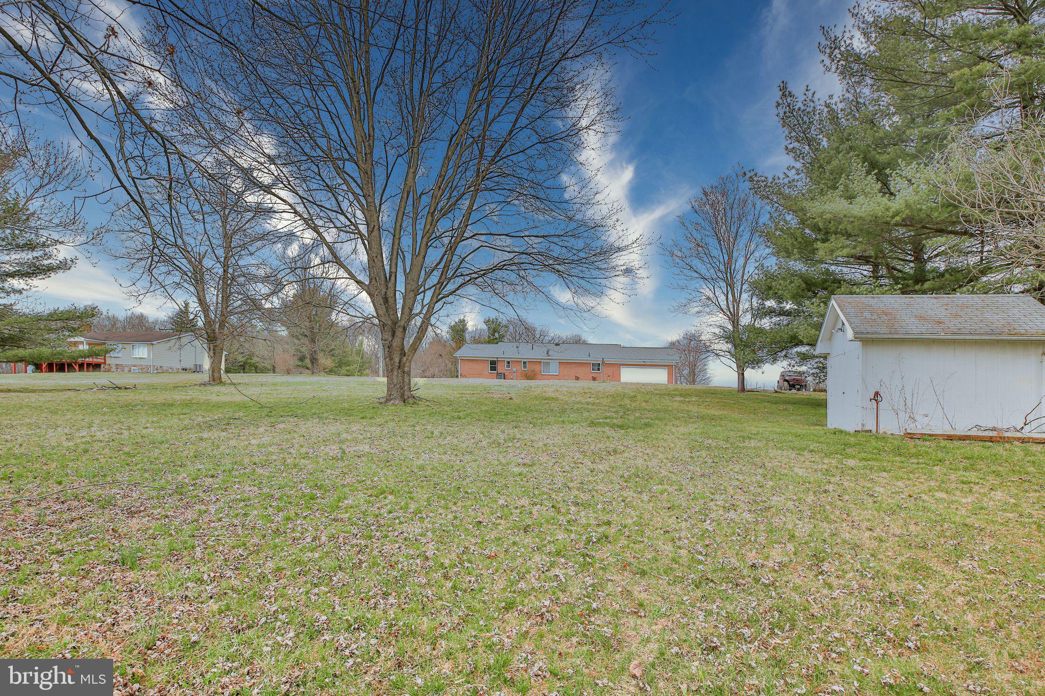 1356 Pierce Road Berryville, VA 22611 - Photo 33 of 45 Level back yard