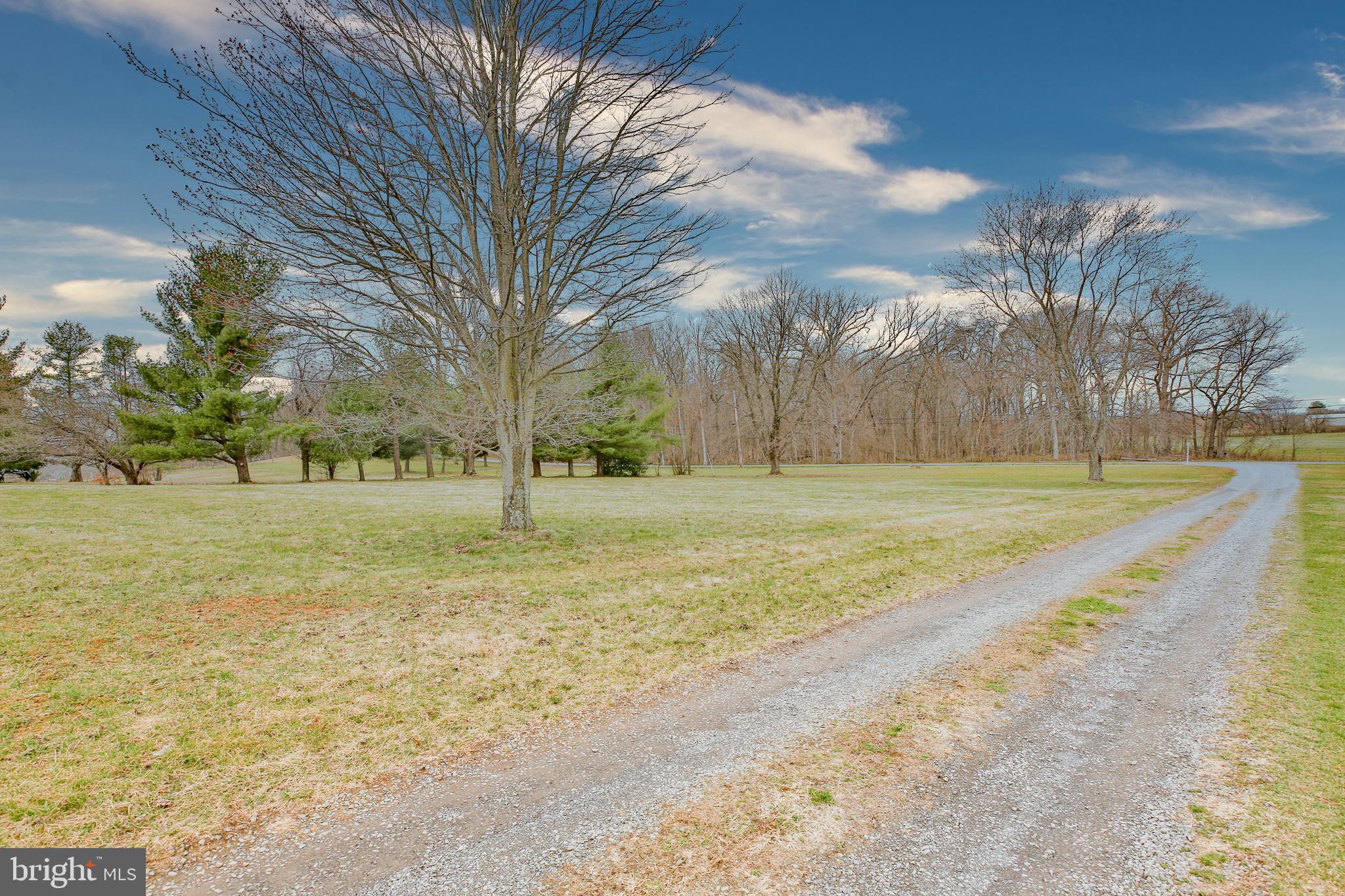 1356 Pierce Road Berryville, VA 22611 - Photo 35 of 45 leisurely driveway leads the magic that is 1356