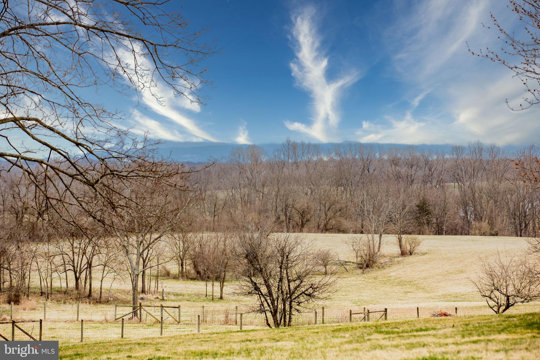 1356 Pierce Road Berryville, VA 22611 - Photo 37 of 45 With views forever
